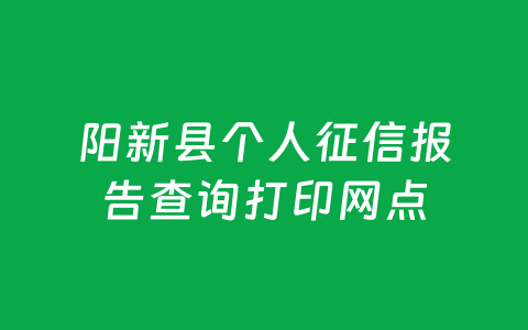 阳新县个人征信报告查询打印网点