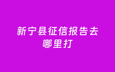 新宁县征信报告去哪里打