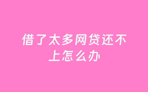 借了太多网贷还不上怎么办