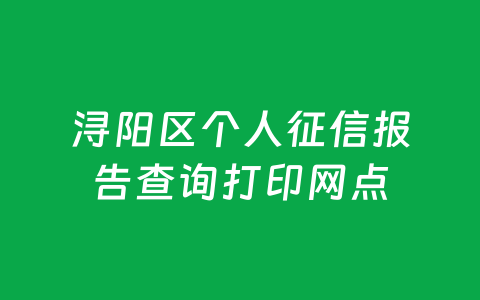 浔阳区个人征信报告查询打印网点