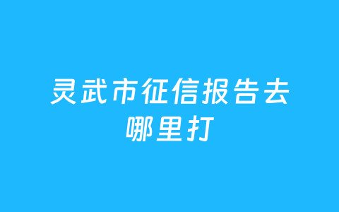 灵武市征信报告去哪里打