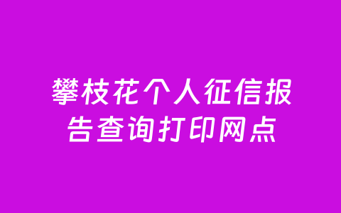 攀枝花个人征信报告查询打印网点