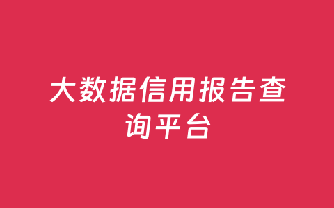 大数据信用报告查询平台