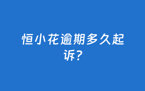 恒小花逾期多久起诉?