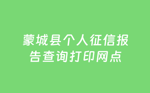 蒙城县个人征信报告查询打印网点