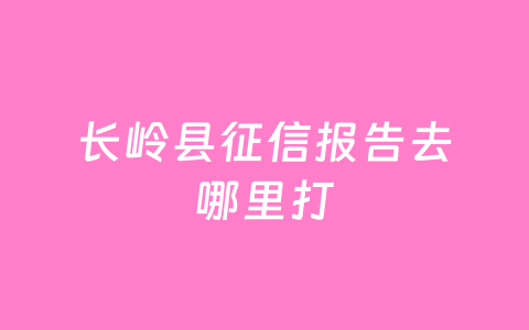 长岭县征信报告去哪里打