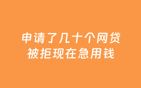 申请了几十个网贷被拒现在急用钱