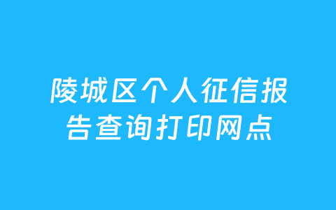 陵城区个人征信报告查询打印网点