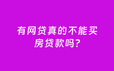 有网贷真的不能买房贷款吗?