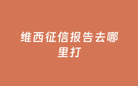 维西征信报告去哪里打