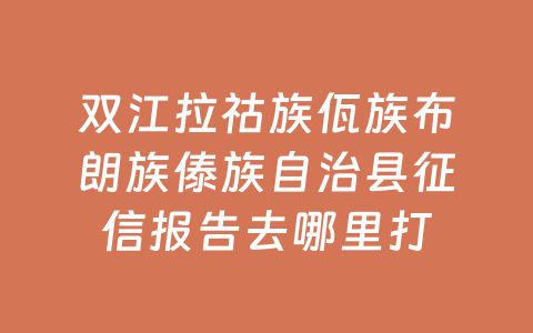 双江拉祜族佤族布朗族傣族自治县征信报告去哪里打