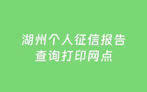 湖州个人征信报告查询打印网点