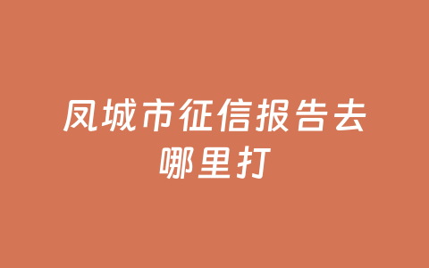 凤城市征信报告去哪里打