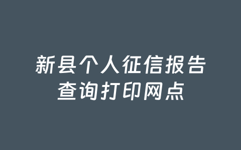 新县个人征信报告查询打印网点