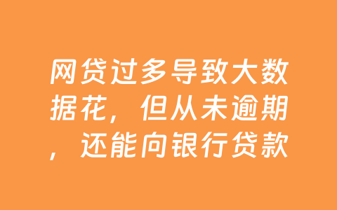 网贷过多导致大数据花,但从未逾期,还能向银行贷款吗?