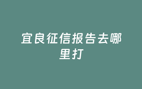 宜良征信报告去哪里打