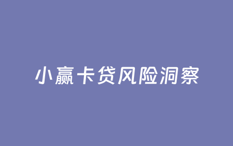 小赢卡贷风险洞察