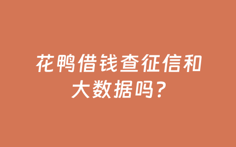 花鸭借钱查征信和大数据吗?