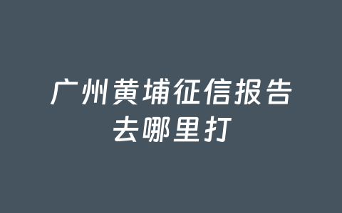 广州黄埔征信报告去哪里打