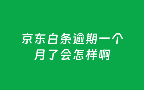 京东白条逾期一个月了会怎样啊