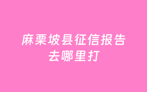 麻栗坡县征信报告去哪里打