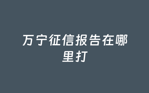 万宁征信报告在哪里打