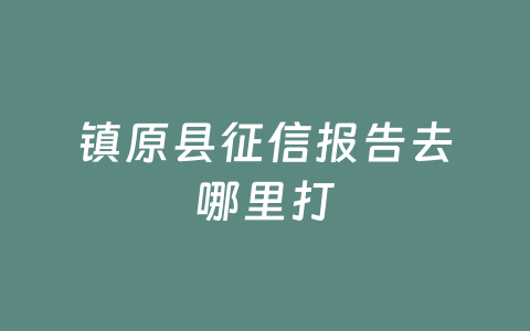 镇原县征信报告去哪里打