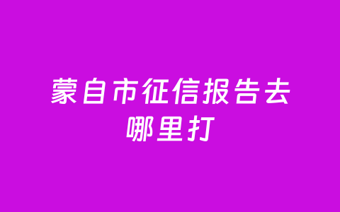 蒙自市征信报告去哪里打