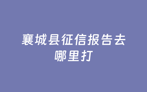 襄城县征信报告去哪里打