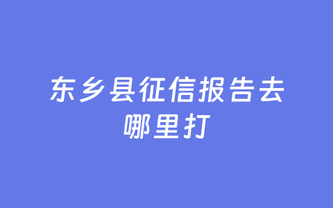 东乡县征信报告去哪里打