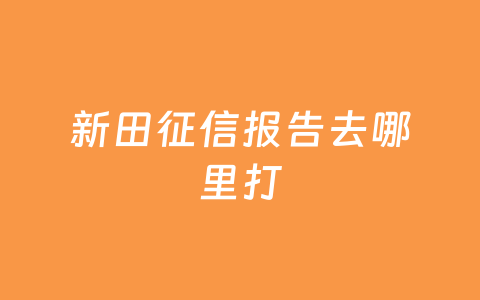 新田征信报告去哪里打