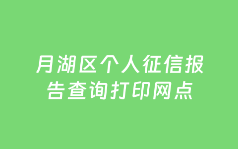 月湖区个人征信报告查询打印网点