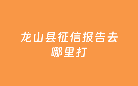 龙山县征信报告去哪里打