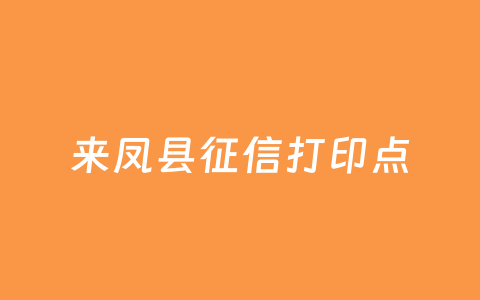 来凤县征信打印点