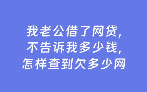我老公借了网贷,不告诉我多少钱,怎样查到欠多少网贷呢