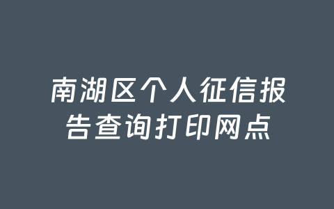 南湖区个人征信报告查询打印网点