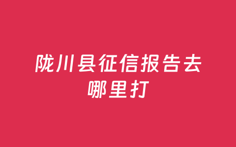 陇川县征信报告去哪里打