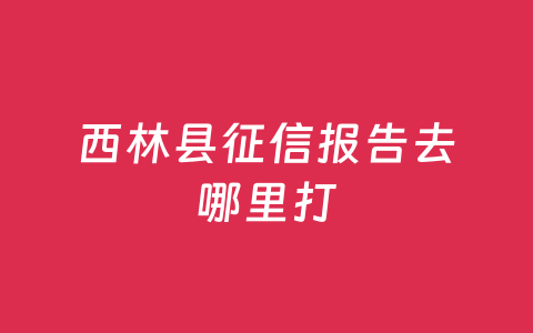 西林县征信报告去哪里打