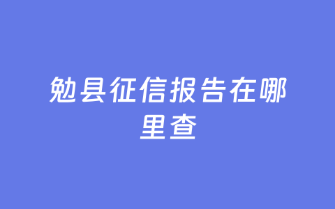 勉县征信报告在哪里查
