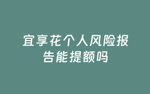 宜享花个人风险报告能提额吗