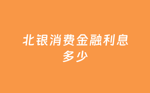 北银消费金融利息多少