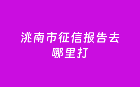 洮南市征信报告去哪里打