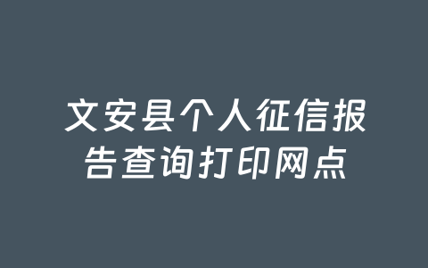 文安县个人征信报告查询打印网点