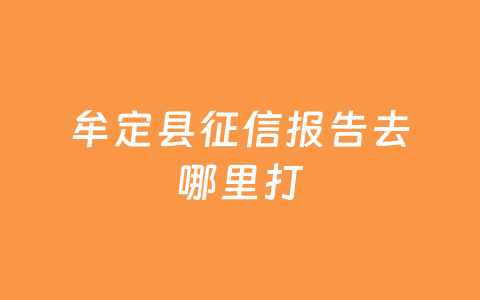 牟定县征信报告去哪里打