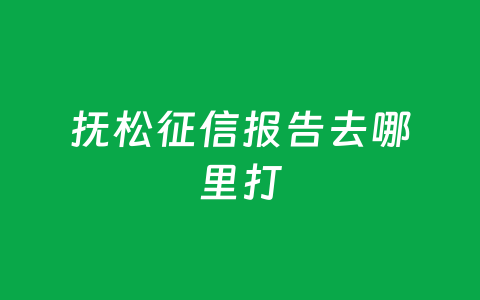 抚松征信报告去哪里打