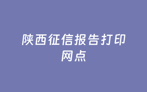 陕西征信报告打印网点