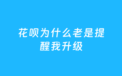 花呗为什么老是提醒我升级