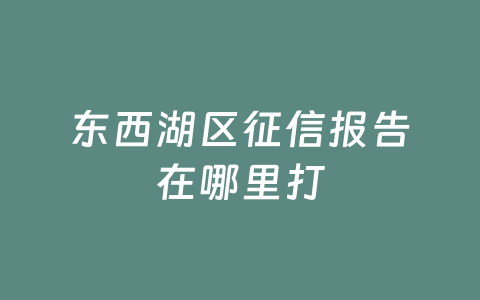 东西湖区征信报告在哪里打