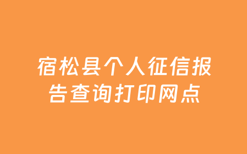 宿松县个人征信报告查询打印网点