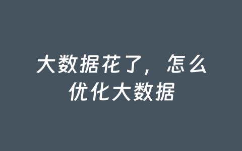 大数据花了,怎么优化大数据